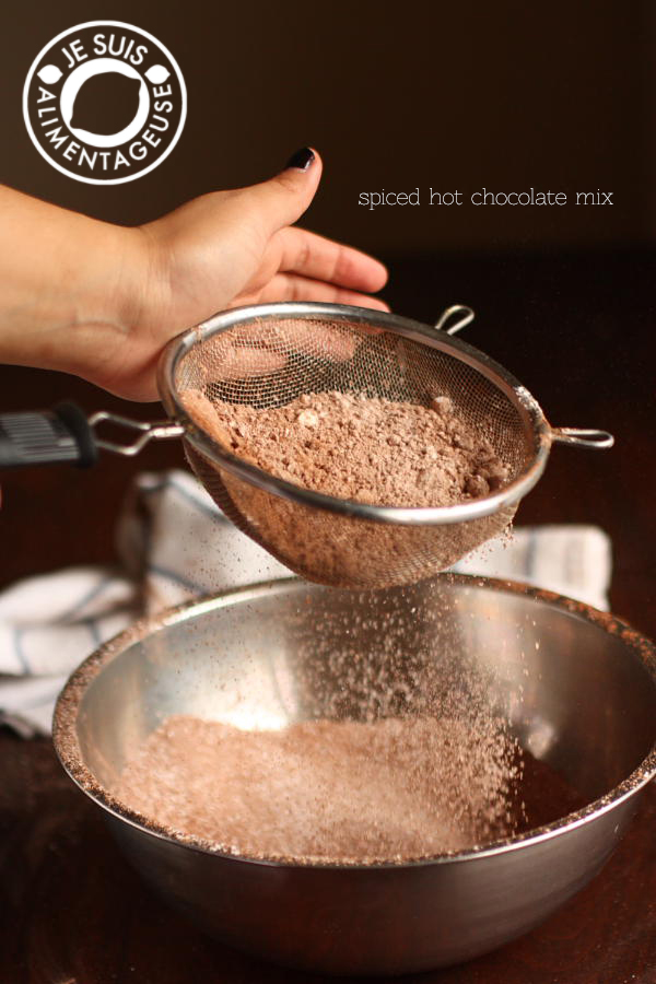Spiced Hot Chocolate Mix | alimentageuse.com #hotchocolate #chocolate #fall #gift #DIY