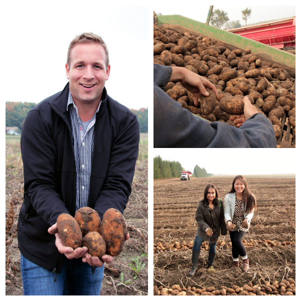 potatoes in hands